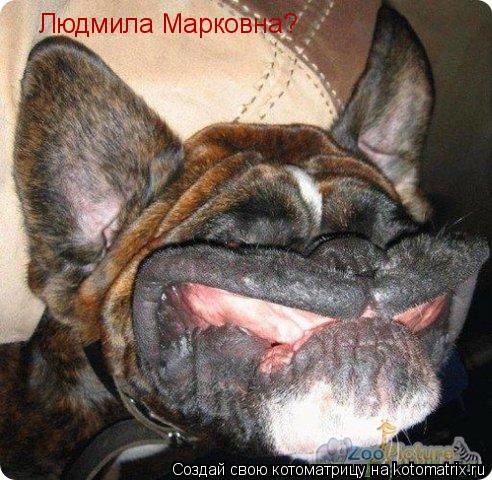 Котоматрица: Людмила Марковна?