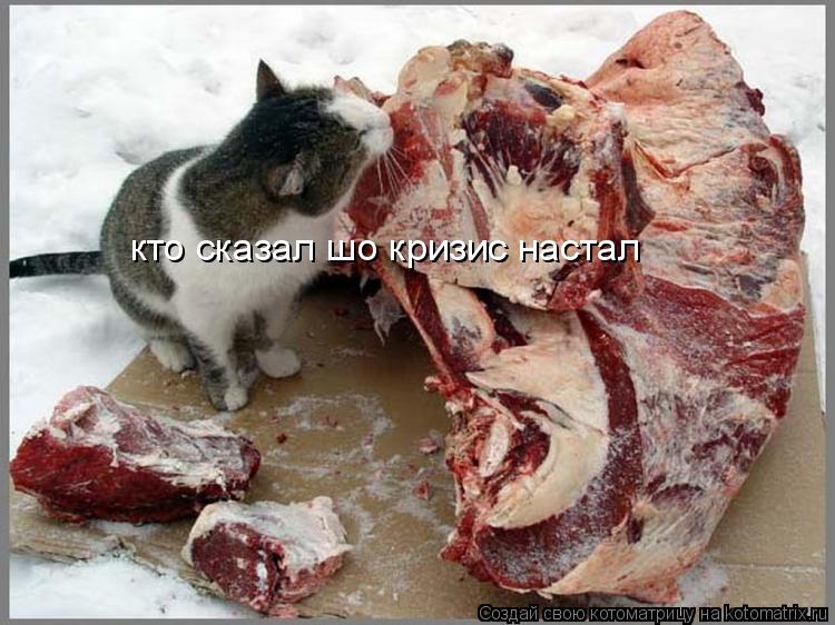кто сказал шо кризис настал... Котоматрица: кто сказал шо кризис настал