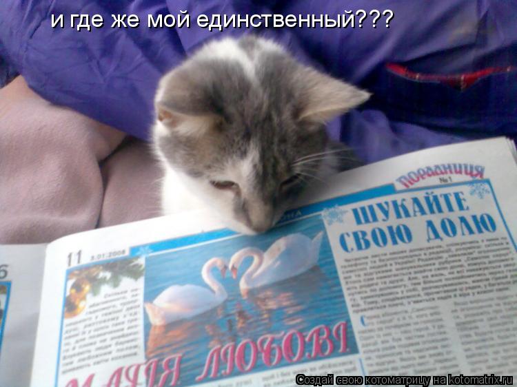 и где же мой единственный???... Котоматрица: и где же мой единственный???