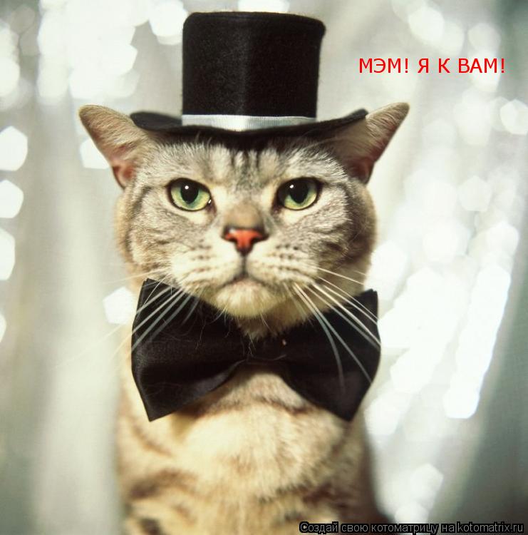 Котоматрица: МЭМ! Я К ВАМ!
