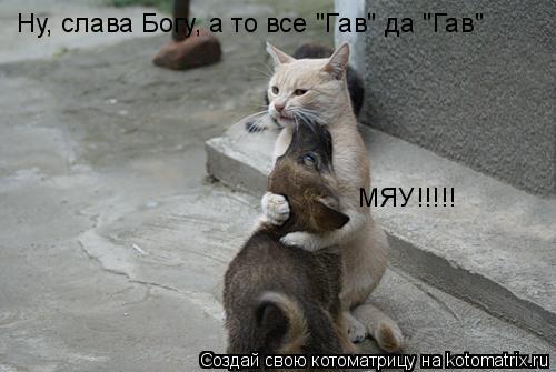 Котоматрица: Ну, слава Богу, а то все "Гав" да "Гав" МЯУ!!!!!