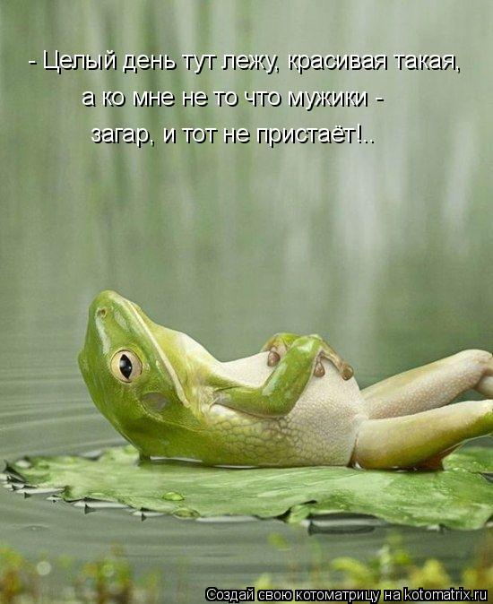 - Целый день тут лежу, красивая такая, а ко мне не то что мужики - загар, и тот не пристаёт!..... Котоматрица: - Целый день тут лежу, красивая такая, а ко мне не то что мужики - загар, и тот не пристаёт!..