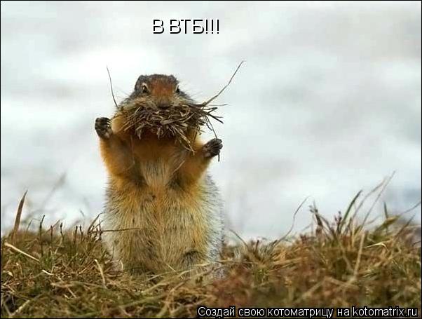 Котоматрица: В ВТБ!!!