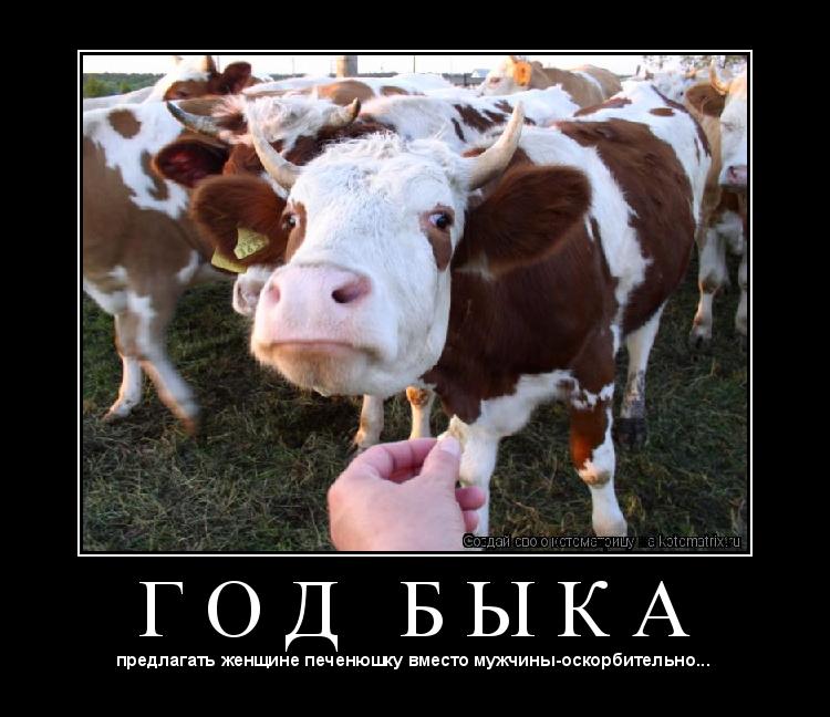 Г О Д Б Ы К А ... Котоматрица: Г О Д Б Ы К А