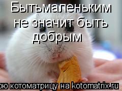 Бытьмаленьким не значит быть добрым... Котоматрица: Бытьмаленьким не значит быть добрым