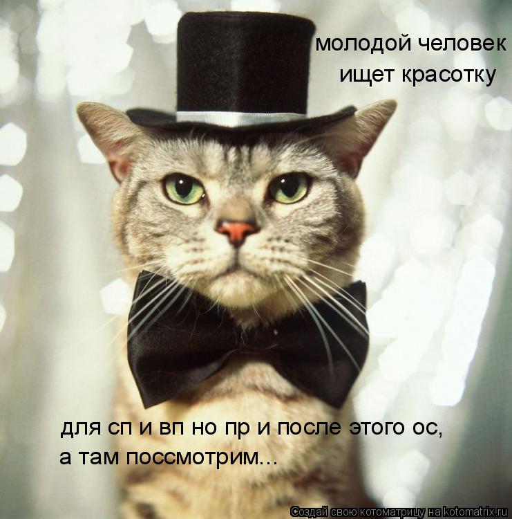 Котоматрица: молодой человек ищет красотку для сп и вп но пр и после этого ос, а там поссмотрим...