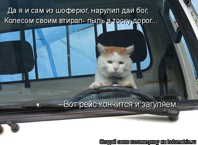 Да я и сам из шоферюг, нарулил дай бог, Колесом своим втирал- пыль в тоску дорог... - Вот рейс кончит... Котоматрица: Да я и сам из шоферюг, нарулил дай бог, Колесом своим втирал- пыль в тоску дорог... - Вот рейс кончится и загуляем...