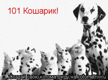 Котоматрица: 101 Кошарик!