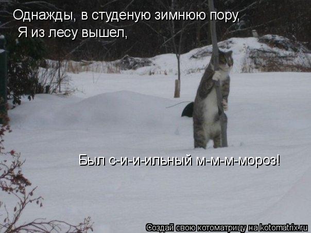 Однажды, в студеную зимнюю пору, Я из лесу вышел, Был с-и-и-ильный м-м-м-мороз!... Котоматрица: Однажды, в студеную зимнюю пору, Я из лесу вышел, Был с-и-и-ильный м-м-м-мороз!
