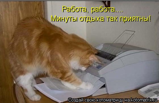 Работа, работа.... Минуты отдыха так приятны!... Котоматрица: Работа, работа.... Минуты отдыха так приятны!
