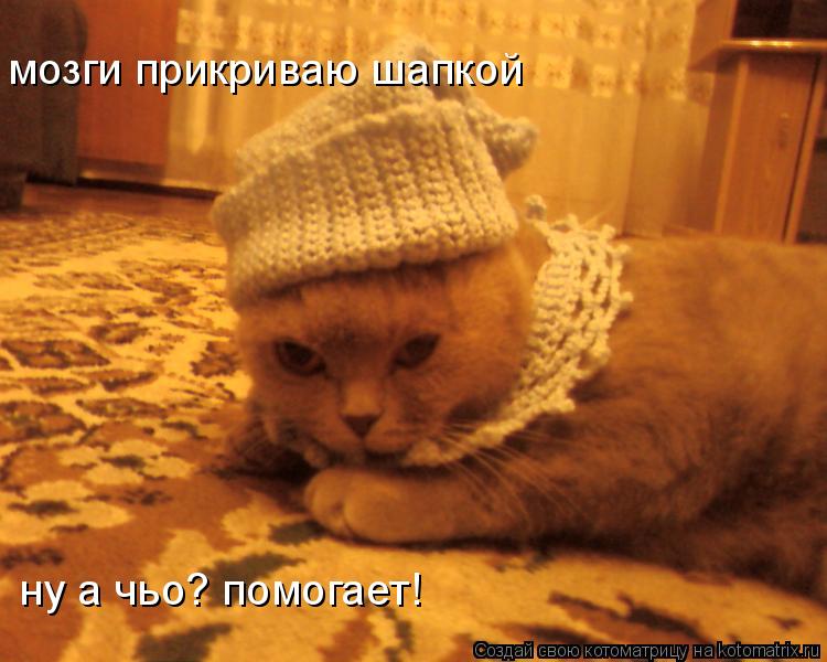 Котоматрица: ну а чьо? помогает! мозги прикриваю шапкой