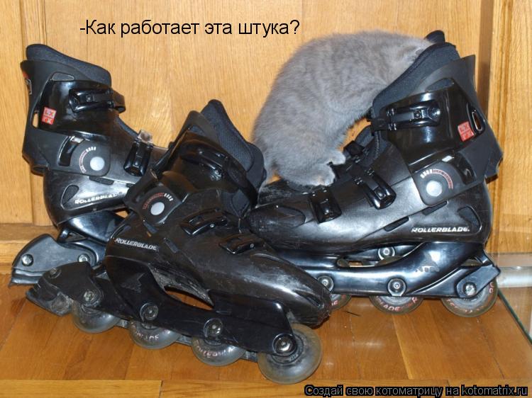 -Как работает эта штука?... Котоматрица: -Как работает эта штука?