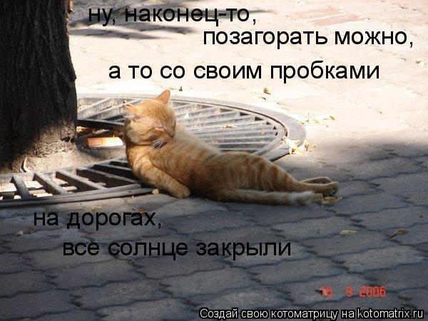 ну, наконец-то, позагорать можно, на дорогах, а то со своим пробками все солнце закрыли... Котоматрица: ну, наконец-то, позагорать можно, на дорогах, а то со своим пробками все солнце закрыли