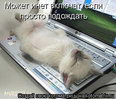 Котоматрица: Может инет включат, если просто подождать