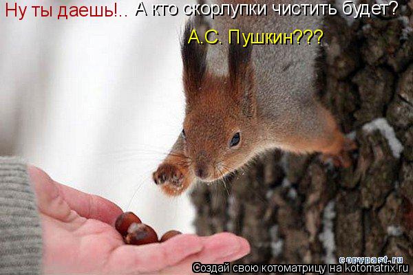 Котоматрица: Ну ты даешь!.. А кто скорлупки чистить будет? А.С. Пушкин???