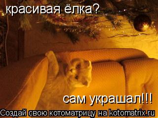 Котоматрица: красивая ёлка? сам украшал!!!