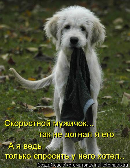 Котоматрица: Скоростной мужичок... так не догнал я его А я ведь, только спросить у него хотел..