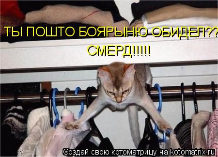 Котоматрица: ТЫ ПОШТО БОЯРЫНЮ ОБИДЕЛ??? СМЕРД!!!!!