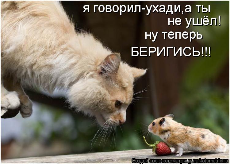 я говорил-ухади,а ты не ушёл! ну теперь БЕРИГИСЬ!!!... Котоматрица: я говорил-ухади,а ты не ушёл! ну теперь БЕРИГИСЬ!!!