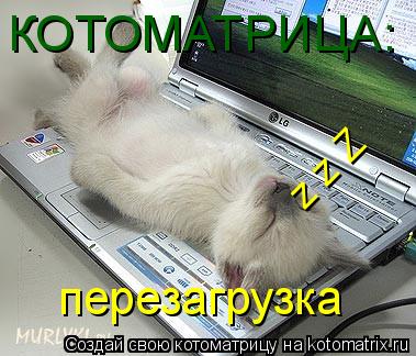 Котоматрица: КОТОМАТРИЦА: перезагрузка z z Z