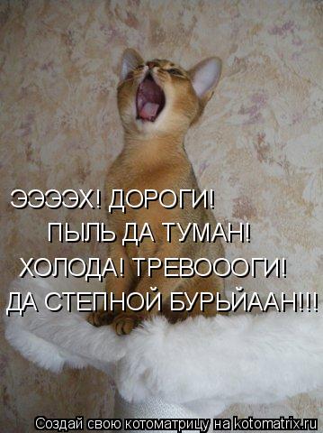 Котоматрица: ЭЭЭЭХ! ДОРОГИ! ПЫЛЬ ДА ТУМАН! ХОЛОДА! ТРЕВОООГИ! ДА СТЕПНОЙ БУРЬЙААН!!!