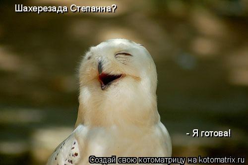 Шахерезада Степанна? - Я готова!... Котоматрица: Шахерезада Степанна? - Я готова!