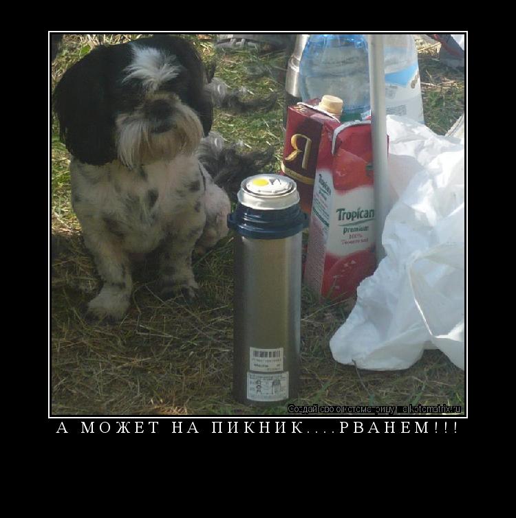 Котоматрица: А   М О Ж Е Т   Н А   П И К Н И К . . . . Р В А Н Е М ! ! ! 