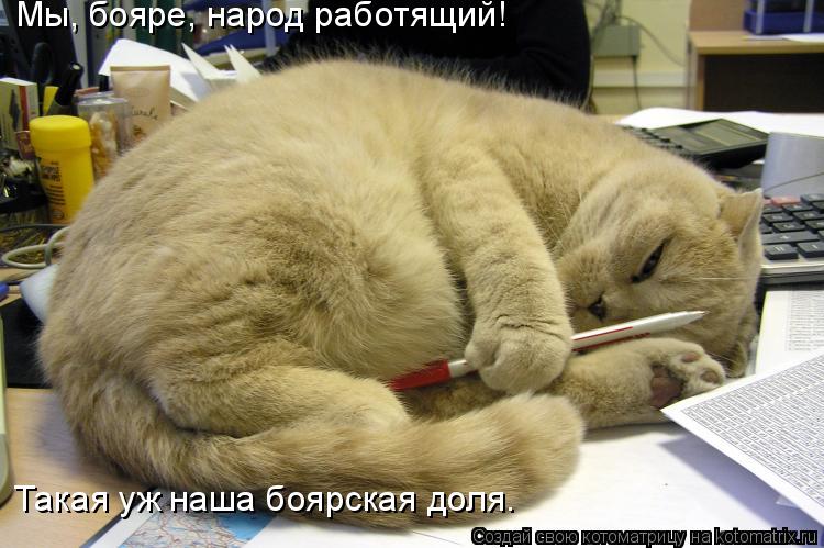Котоматрица: Мы, бояре, народ работящий!  Такая уж наша боярская доля…