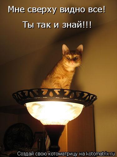 Котоматрица: Мне сверху видно все! Ты так и знай!!!