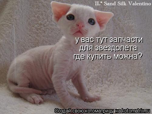 Котоматрица: у вас тут запчасти для звездолёта где купить можна?