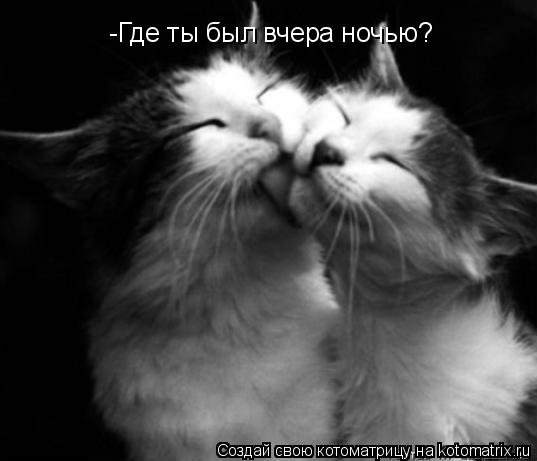 -Где ты был вчера ночью?... Котоматрица: -Где ты был вчера ночью?