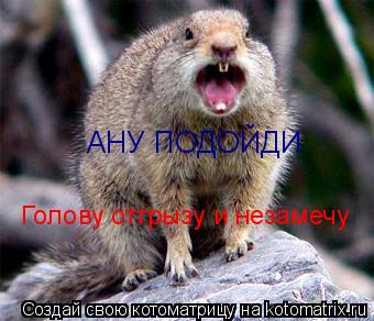 АНУ ПОДОЙДИ Голову отгрызу и незамечу... Котоматрица: АНУ ПОДОЙДИ Голову отгрызу и незамечу