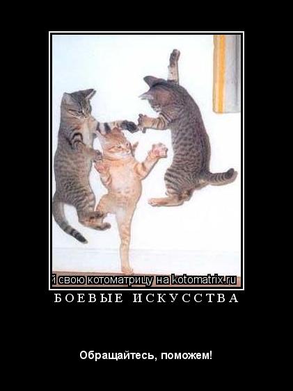 Котоматрица: Б О Е В Ы Е   И С К У С С Т В А 