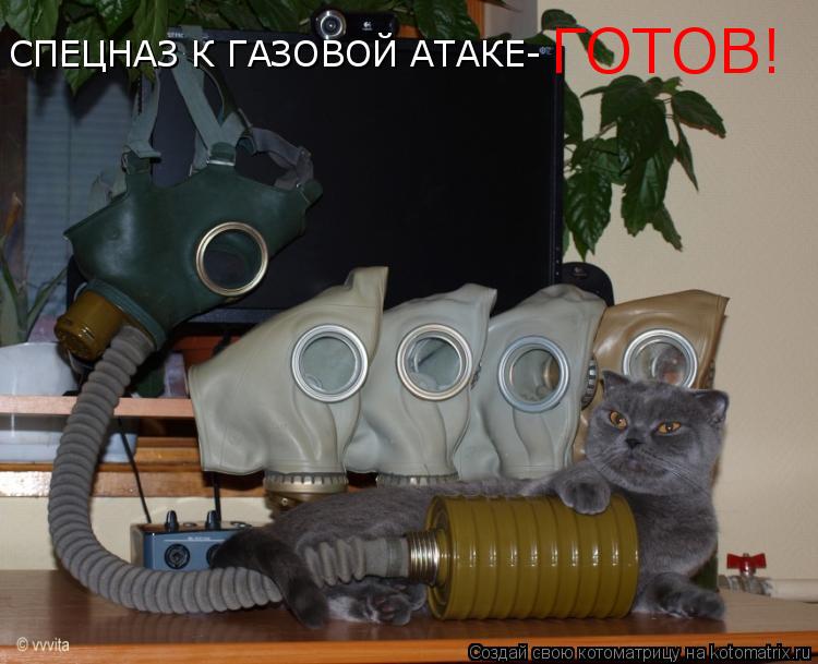 Котоматрица: СПЕЦНАЗ К ГАЗОВОЙ АТАКЕ- ГОТОВ!