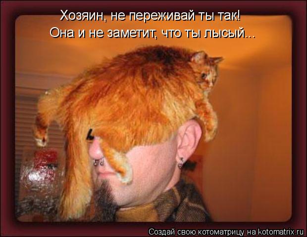 Хозяин, не переживай ты так! Она и не заметит, что ты лысый...... Котоматрица: Хозяин, не переживай ты так! Она и не заметит, что ты лысый...