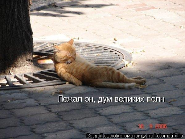 Лежал он, дум великих полн... Котоматрица: Лежал он, дум великих полн