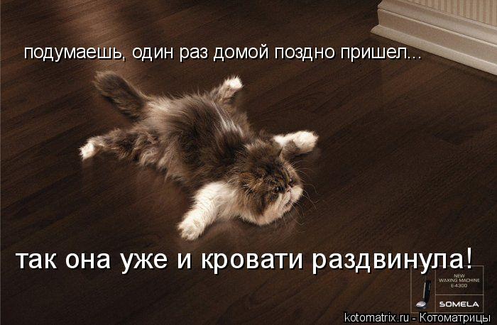 Котоматрица: так она уже и кровати раздвинула! подумаешь, один раз домой поздно пришел...