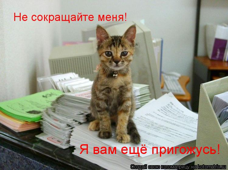 Котоматрица: Не сокращайте меня! Я вам ещё пригожусь!