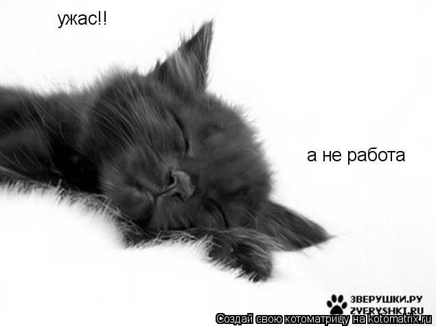 ужас!! а не работа... Котоматрица: ужас!! а не работа