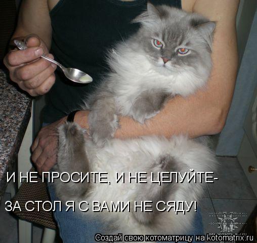 Котоматрица: И НЕ ПРОСИТЕ, И НЕ ЦЕЛУЙТЕ- ЗА СТОЛ Я С ВАМИ НЕ СЯДУ!