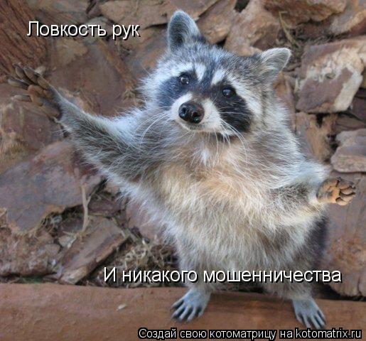 Ловкость рук И никакого мошенничества... Котоматрица: Ловкость рук И никакого мошенничества