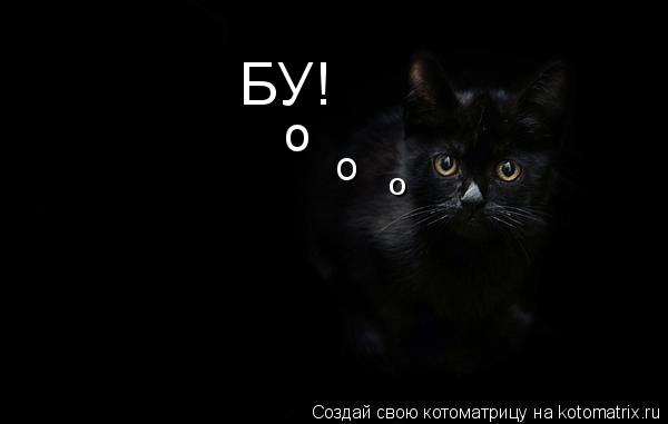 Котоматрица: БУ! о о о