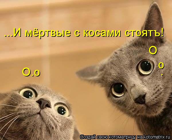 Котоматрица: ...И мёртвые с косами стоятъ! . о О О.о