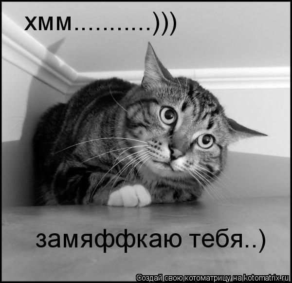 Котоматрица: хмм...........))) хмм...........))) замяффкаю тебя..)