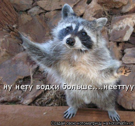ну нету водки больше....нееттууу!!!... Котоматрица: ну нету водки больше....нееттууу!!!