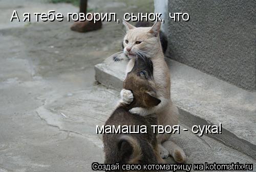 Котоматрица: А я тебе говорил, сынок, что мамаша твоя - сука!