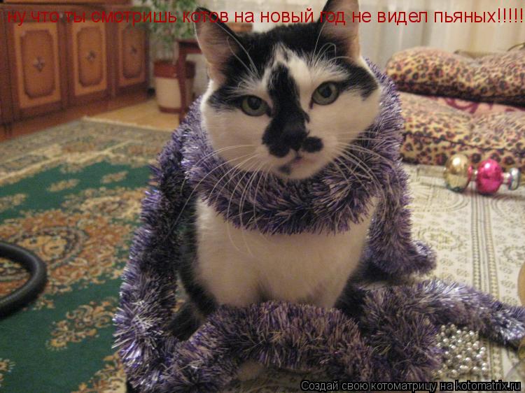 Котоматрица: ну что ты смотришь котов на новый год не видел пьяных!!!!!!!!