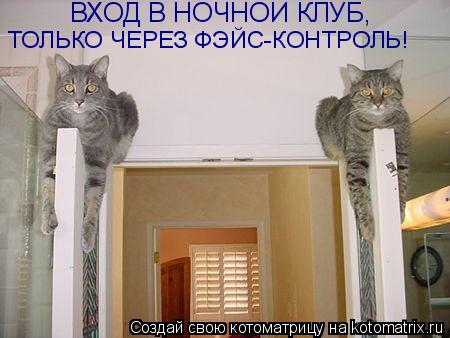 ВХОД В НОЧНОЙ КЛУБ, ТОЛЬКО ЧЕРЕЗ ФЭЙС-КОНТРОЛЬ!... Котоматрица: ВХОД В НОЧНОЙ КЛУБ, ТОЛЬКО ЧЕРЕЗ ФЭЙС-КОНТРОЛЬ!