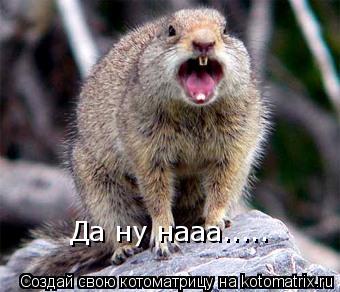 Да ну нааа........ Котоматрица: Да ну нааа.....