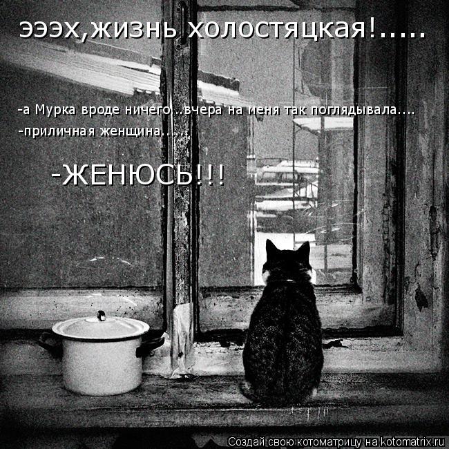 эээх,жизнь холостяцкая!..... -а Мурка вроде ничего...вчера на меня так поглядывала.... -приличная жен... Котоматрица: эээх,жизнь холостяцкая!..... -а Мурка вроде ничего...вчера на меня так поглядывала.... -приличная женщина...... -ЖЕНЮСЬ!!!
